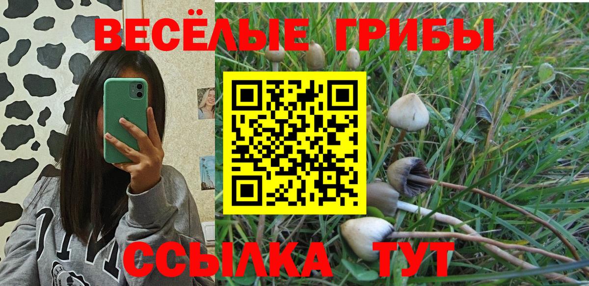 Псилоцибиновые грибы Psilocybe Луга