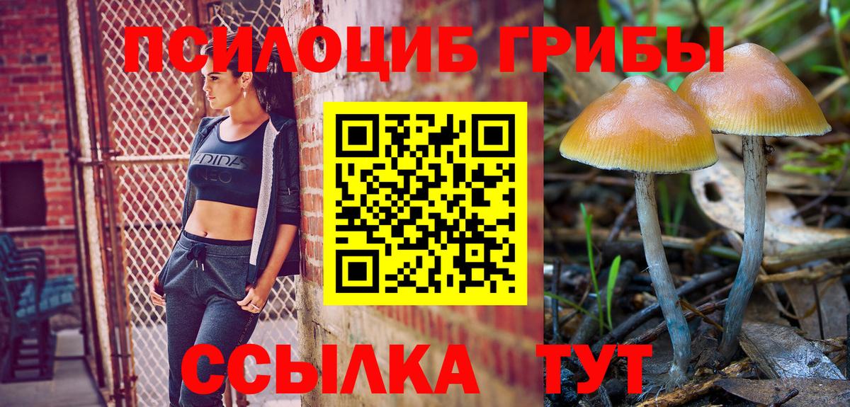 цена наркотик  Вход с VPN  Луга  Псилоцибиновые грибы Magic Shrooms 